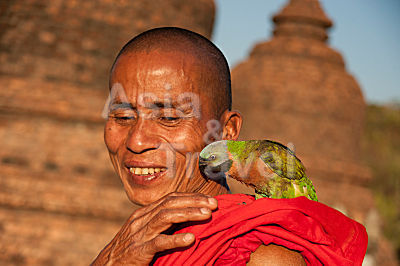 Buddhistischer Mönch mit Papagei MraukU Myanmar