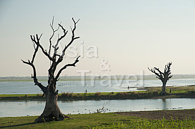 See in Amarapura Myanmar