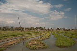 Schwimmende Felder Inle See Myanmar