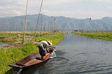 Intha Mann mit Boot bei schwimmenden Feldern Inle Lake Myanmar