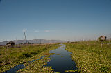 Schwimmende Felder Inle See Myanmar