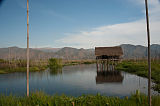 Schwimmende Felder Inle See Myanmar