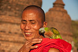 Buddhistischer Mönch mit Papagei MraukU Myanmar