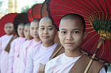 Buddhistische Nonnen mit roten Schirmen Mandalay Myanmar